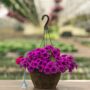 Combo – Mermaid Tails – 12″ Fiber Hanging Basket